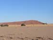 Sossusvlei (041) 